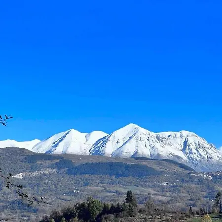 In With Pool And Nature *