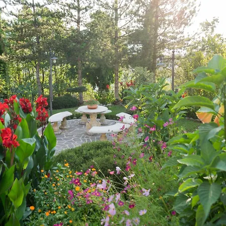 In With Pool * Tagliacozzo