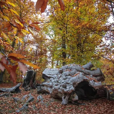 Villa In With Pool And Nature