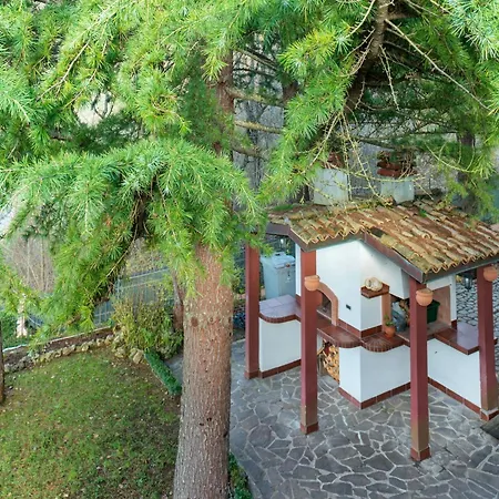 In With Pool And Nature