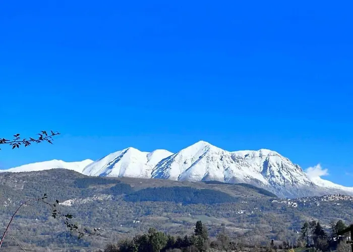 In With Pool And Nature *