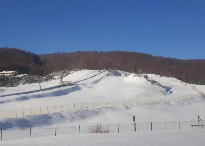 In With Pool And Nature Villa *