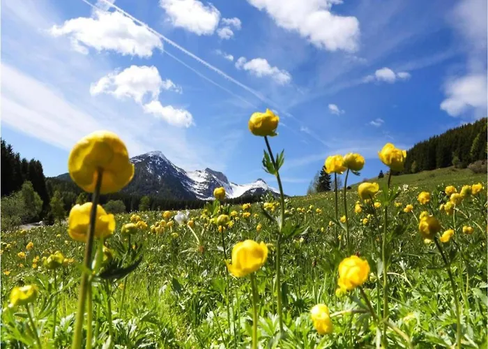 In With Pool And Nature Villa *