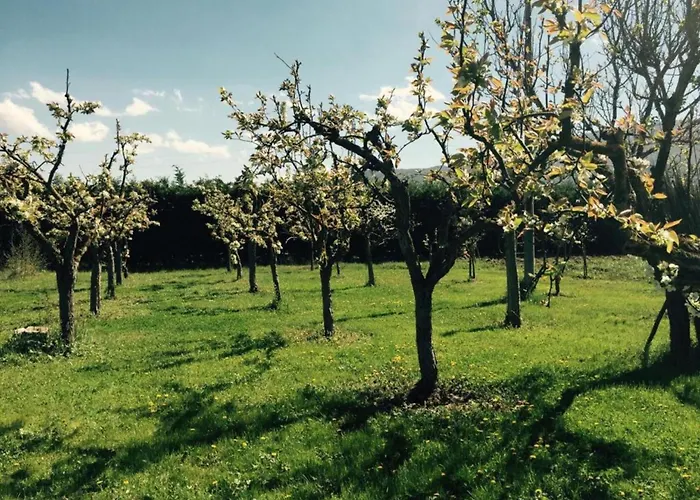 In With Pool And Nature Villa