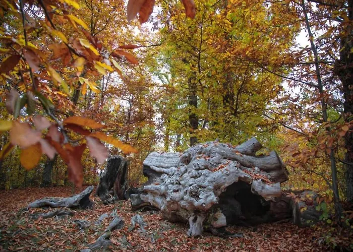 Villa In With Pool And Nature